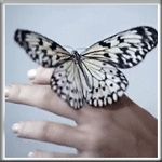 Наталья Ланова