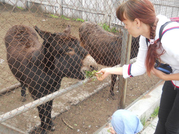 Наталия Солонина(Шипицына)