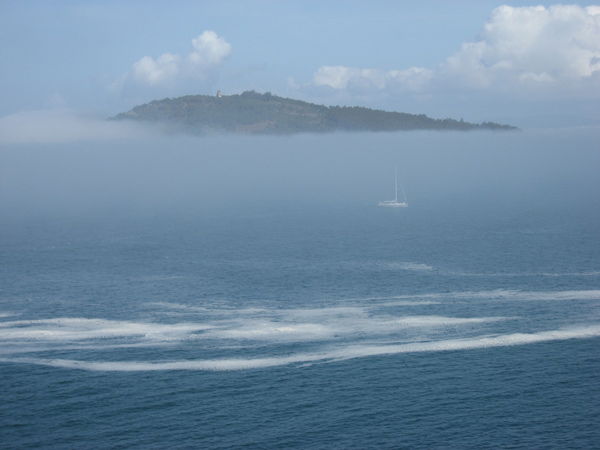 Наталия Савельева