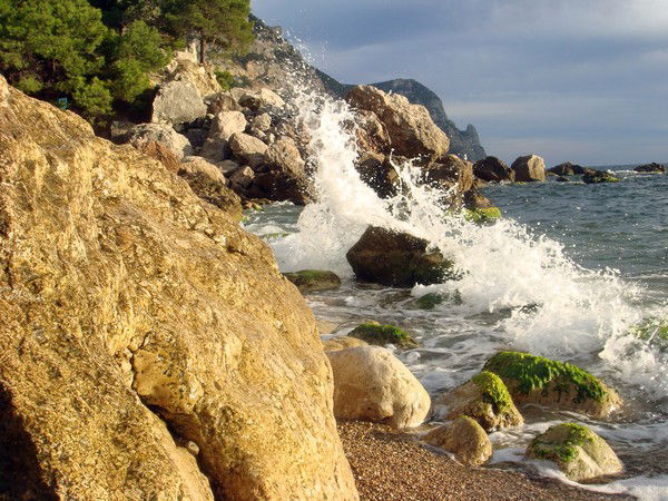 Сергей Кириченко