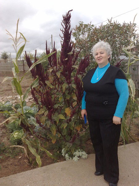 (Евдокия) (Музыка)