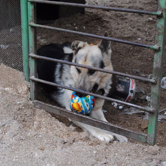 Сергей Бондаренко