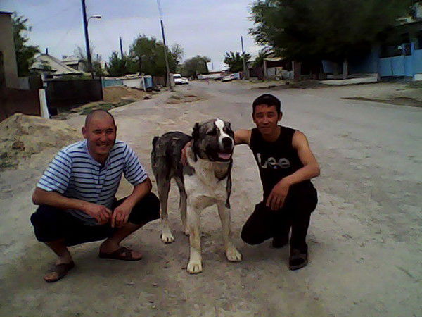 Нургали Алиев