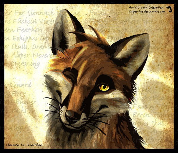 Виталий Затворницкий