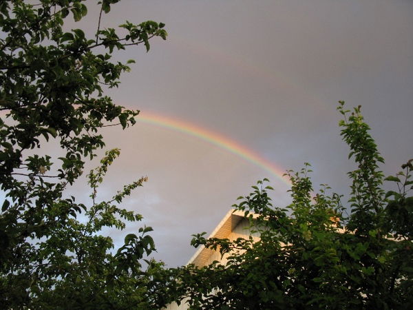 Петр Кузьмин