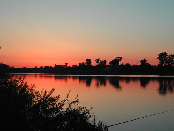 Дмитрий Тарасов