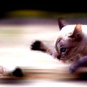 Володимир Сидій