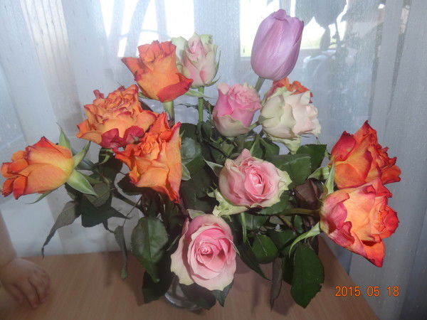 Гульшат Гайфуллина