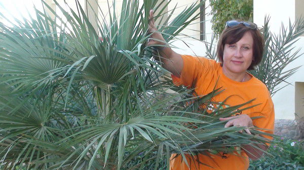 Елена Егоркина