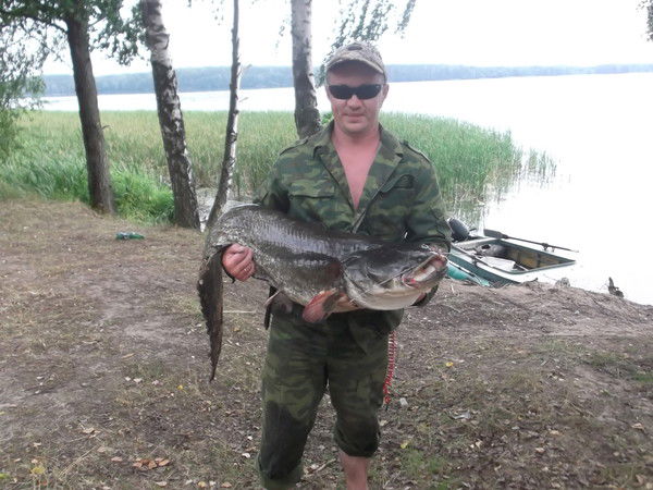 Иван Бержанин