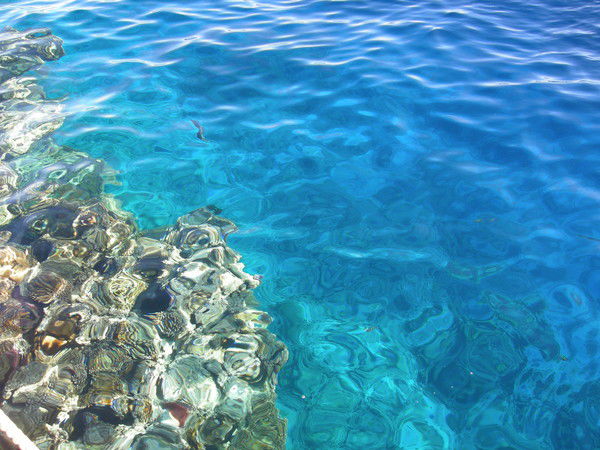 Екатерина Колокольникова