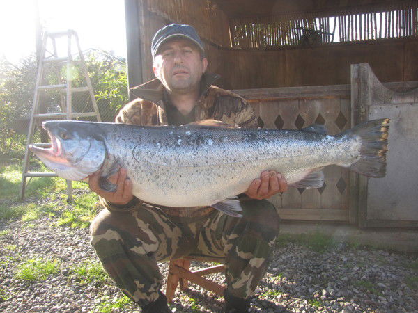 Бейя Платон