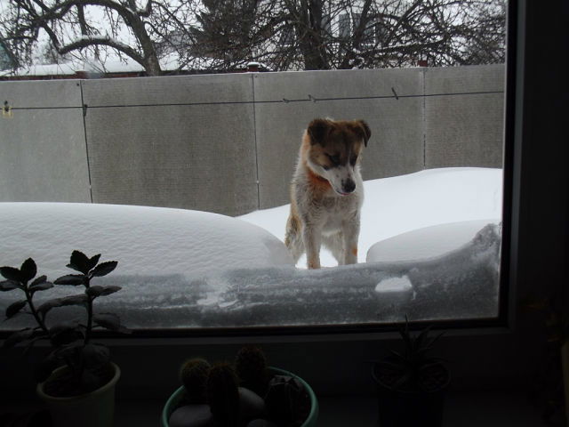 Юра Косьянов