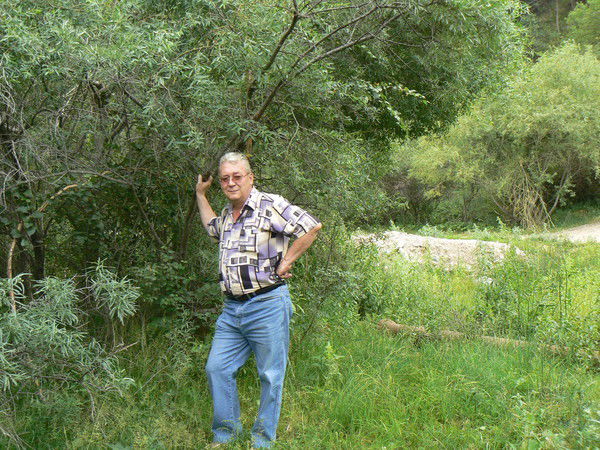 Александр Пальчиков