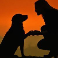 Полина Кочерженко