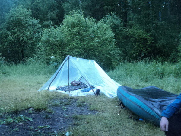 Володя Чечулин