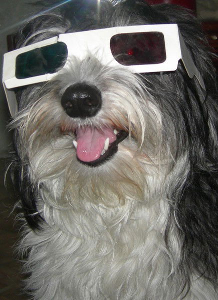 Никита Пигарев