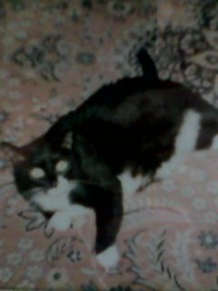 Нина Петрова