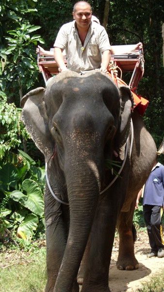 Арман Нурпиисов