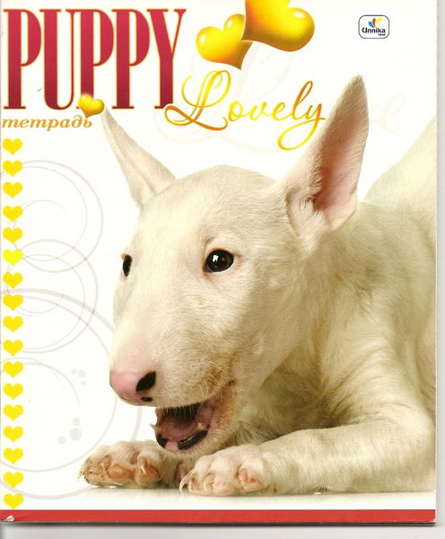 Наталья Бессчетнова