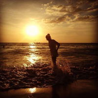 Анна Соколенко