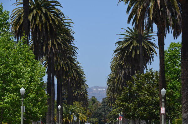 Городская Больница №11 Г. Донецк