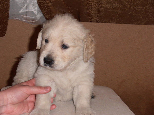 Эдик Иванов