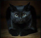 Ростислав .