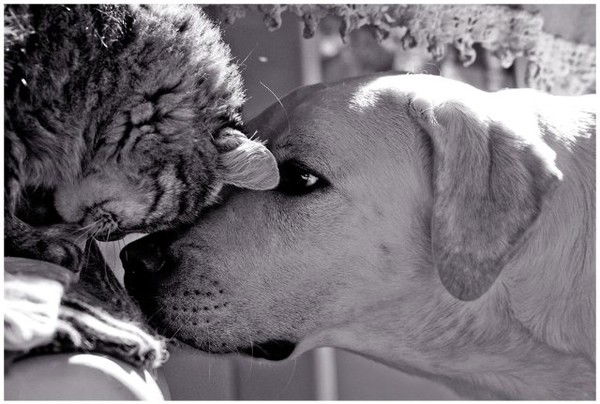 Натали Боровкова