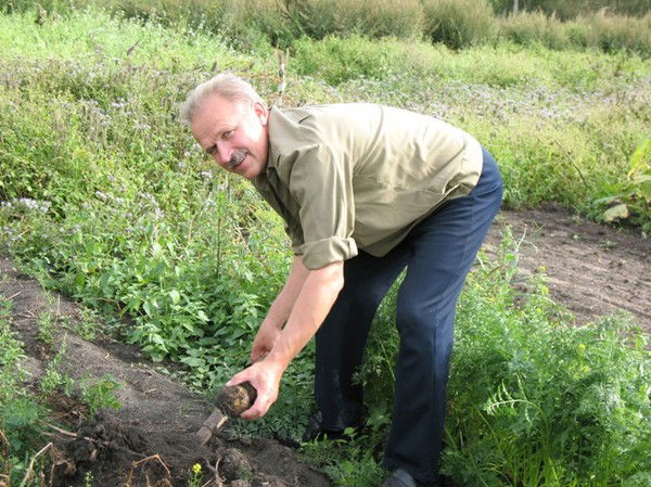 Николай Михайловский