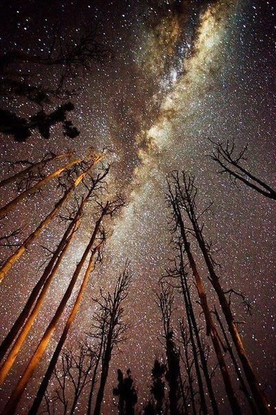 Катерина Корнеева