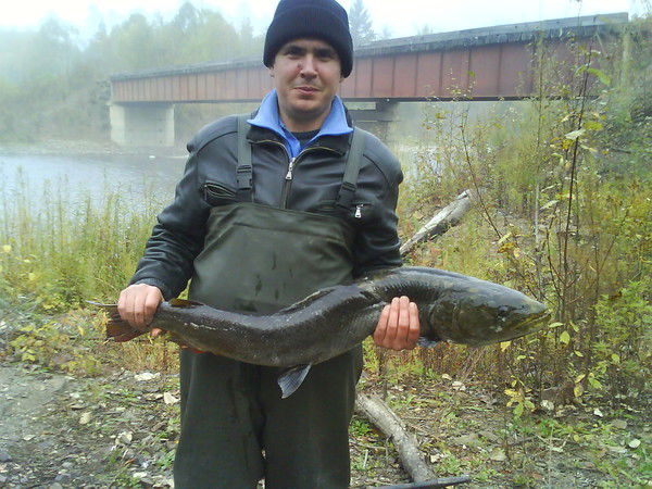 Егор Ткаченко