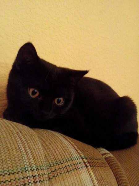 Елена Зайферт