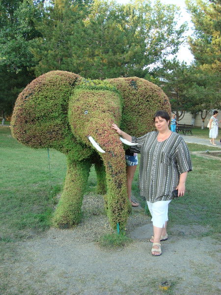 Лариса Щетникова