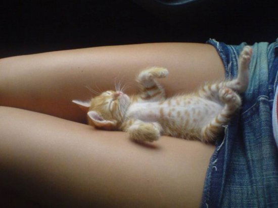 Юляфка-Кофка