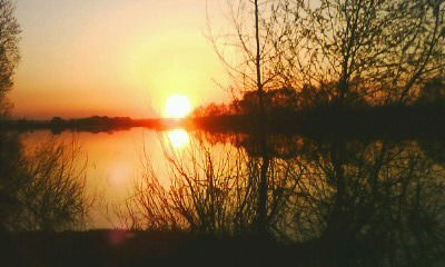 Ильнар Гареев