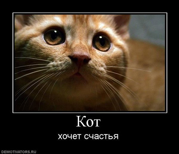 Андрей Зозуля