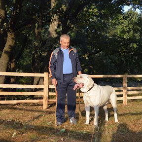 Владимир Книга