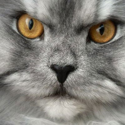 Тимур Файрузов