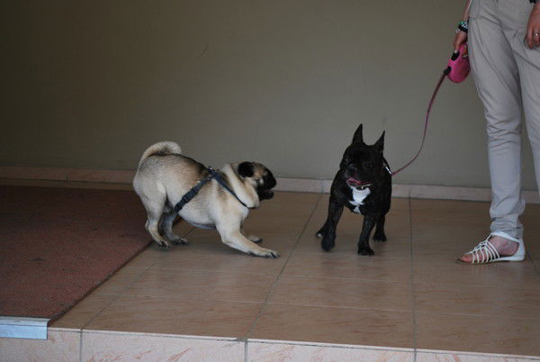 Сураева Марина