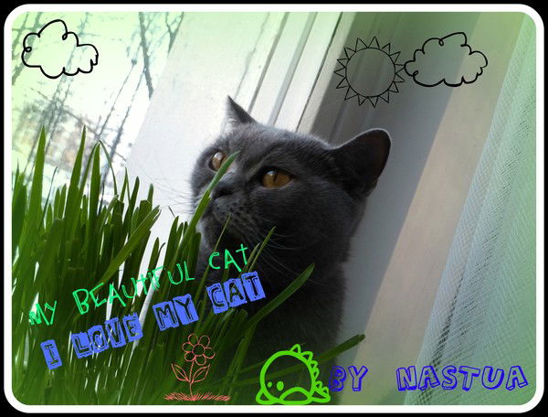 Анастасия Курникова