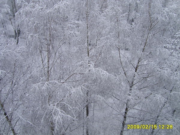 Маша Пальчик