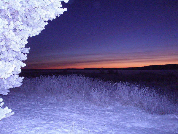 Сергей Синица