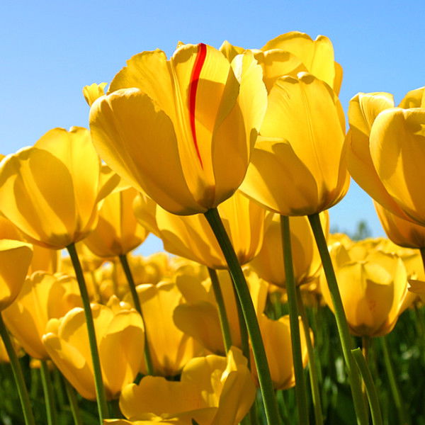 Любовь Юдина