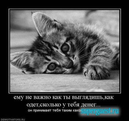 Марина Фирсенко