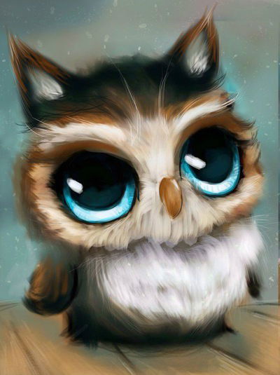 Софья Куторжевская