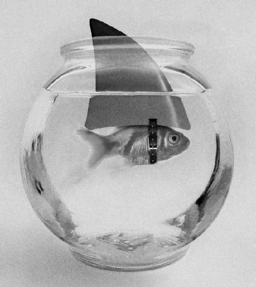 Ксения Папина