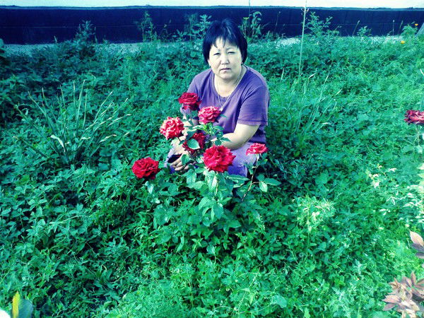 Арман Кожахметова