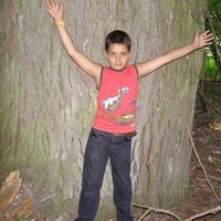 Андрей Москалець