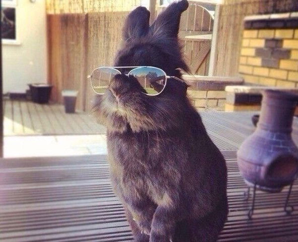 Антон Юнусов